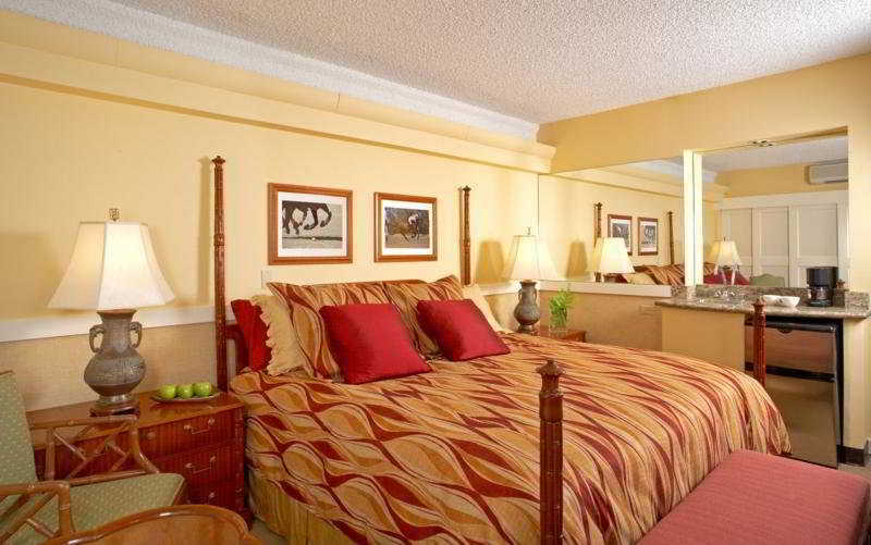 Equus Hotel Honolulu Room photo