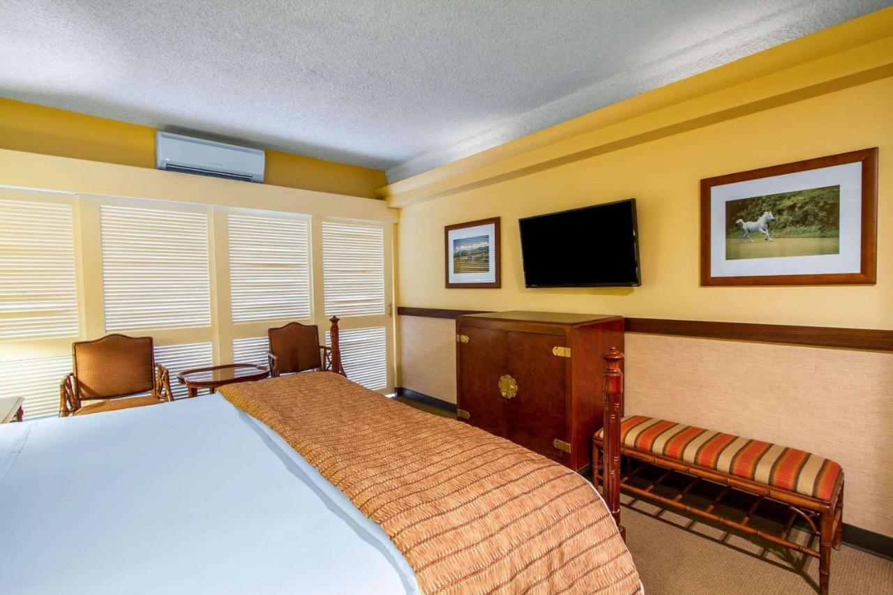 Equus Hotel Honolulu Exterior photo